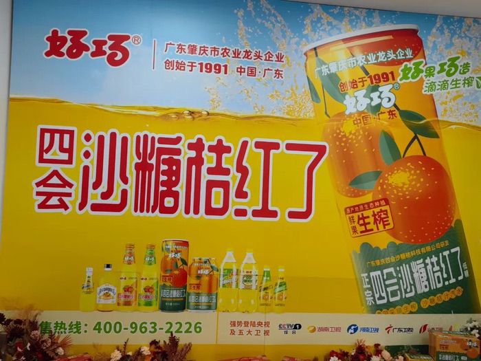 品牌大旺 | 做強做大沙糖桔產(chǎn)業(yè)，好巧奏響品牌更強音！