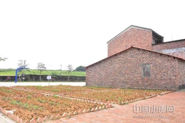 廣東四會：“代表聯(lián)絡(luò)站”助力推進(jìn)“百千萬工程”