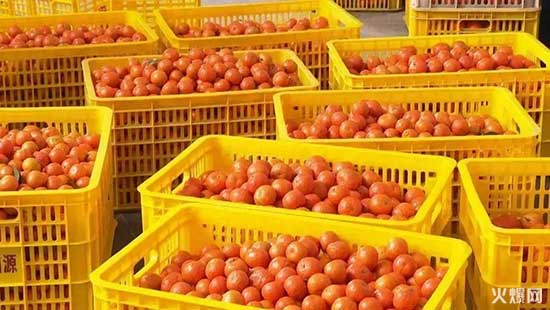 經(jīng)銷商請注意，夏季飲料大戰(zhàn)開鑼，好巧開啟“冰爽行動”！